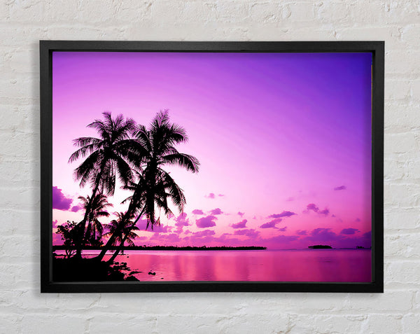 Pink Palm Tree Ocean