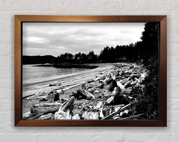 Black And White Driftwood Ocean