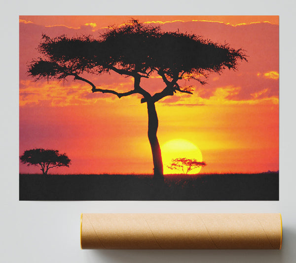 Sunset In Kenya