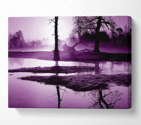 Sunset Forest Waters Purple