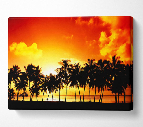 Orange Palm Tree Sunset