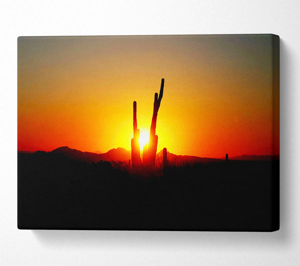 Red Cactus Sunrise