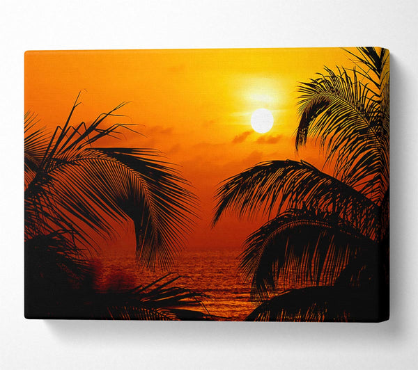 Orange Palmtree Sun