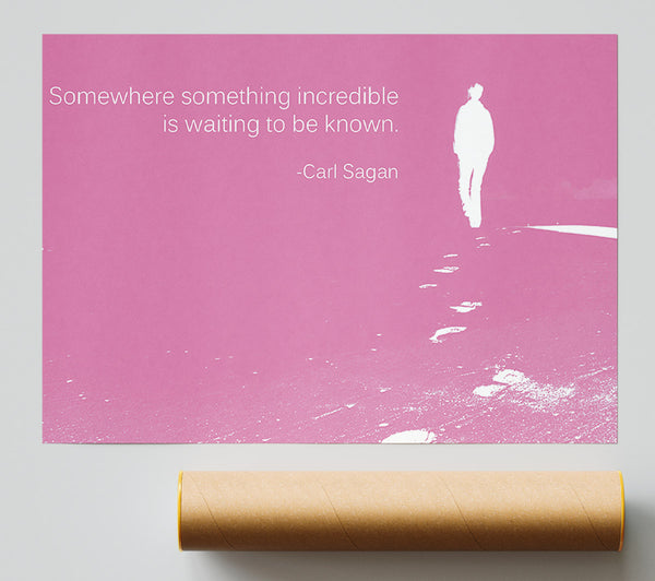 Carl Sagan Somewhere Something Pink