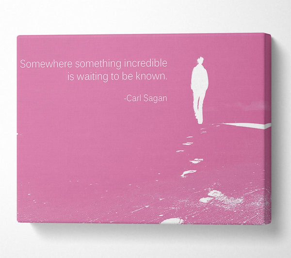 Carl Sagan Somewhere Something Pink