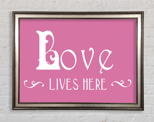 Love Quote Love Lives Here Vines Pink