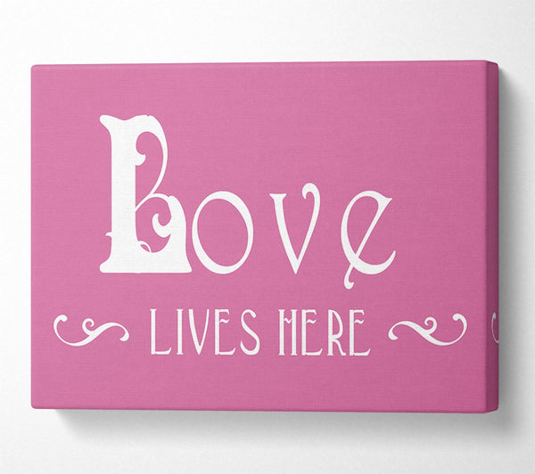 Love Quote Love Lives Here Vines Pink