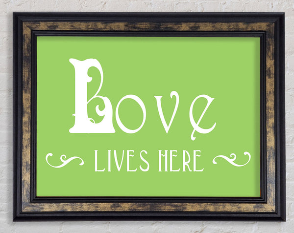 Love Quote Love Lives Here Vines Lime Green