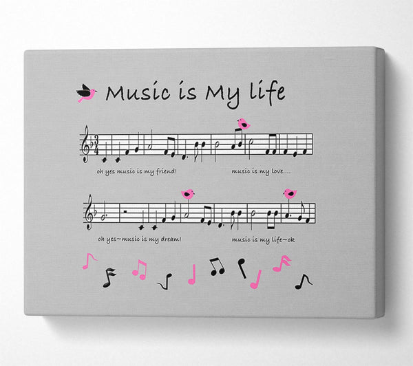 Music Is My Life Grey