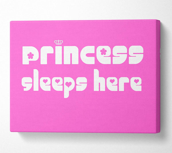 Princess sleeps 2 Vivid Pink