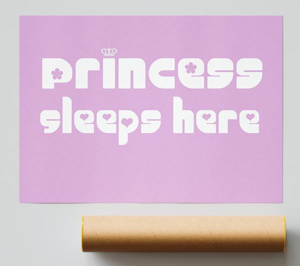 Nursery Quote Princess Sleeps 2 Pink