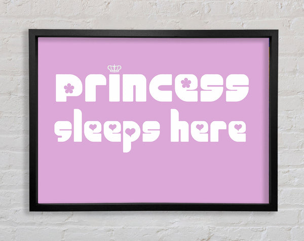 Nursery Quote Princess sleeps 2 Pink