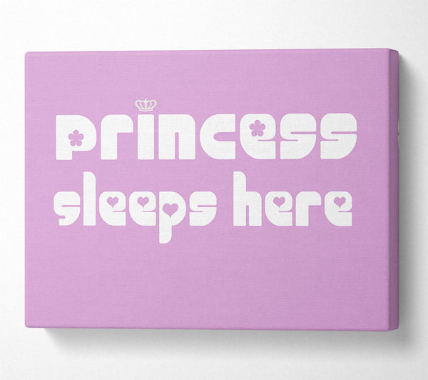 Nursery Quote Princess sleeps 2 Pink