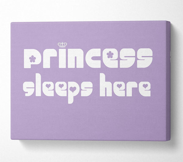 Princess sleeps 2 Lilac