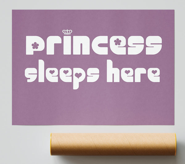 Princess Sleeps 2 Dusty Pink