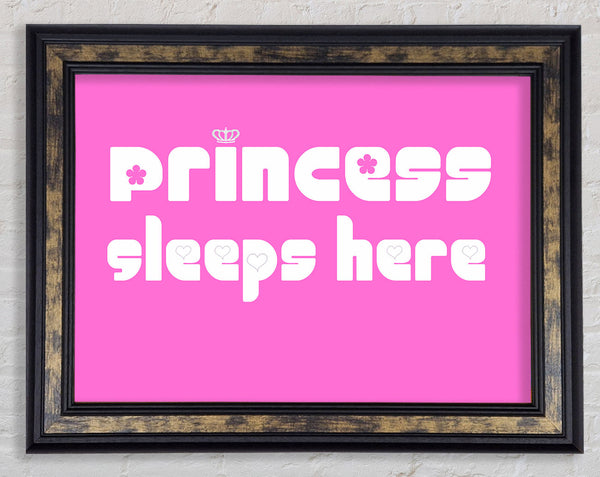 Girls Room Quote Princesss Sleeps Here 2 Vivid Pink