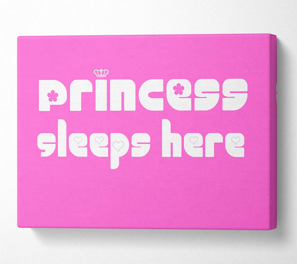 Girls Room Quote Princesss Sleeps Here 2 Vivid Pink