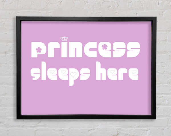 Princesss Sleeps Here 2 Pink