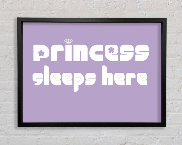 Princesss Sleeps Here 2 Lilac