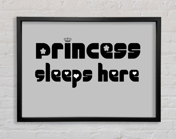 Princesss Sleeps Here 2 Grey