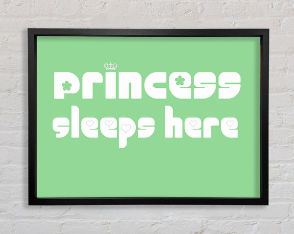 Princesss Sleeps Here 2 Green