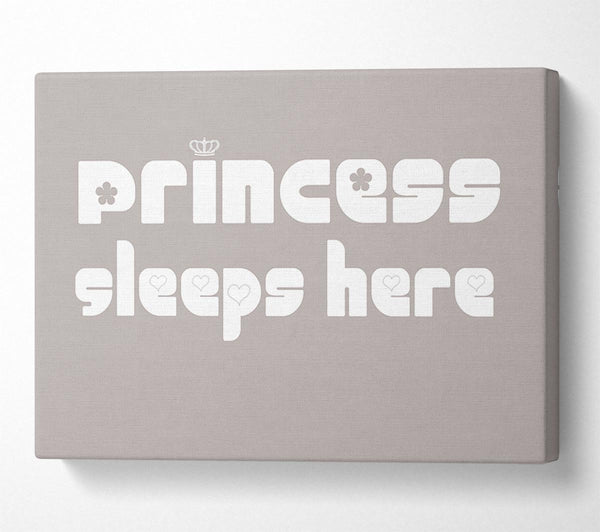 Princesss Sleeps Here 2 Beige