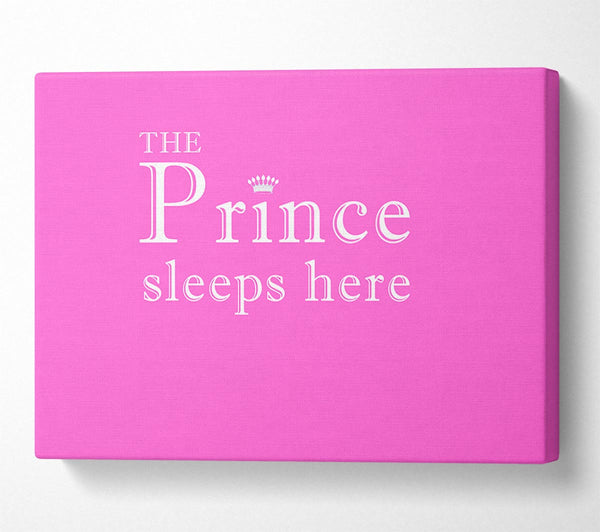 The Prince Sleeps Here Vivid Pink