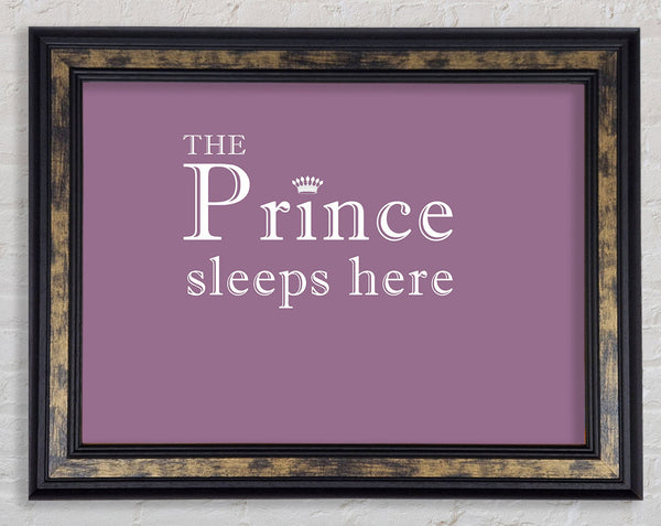 Boys room Quote The Prince Sleeps Here Dusty Pink