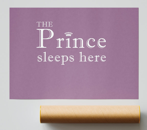 Boys Room Quote The Prince Sleeps Here Dusty Pink