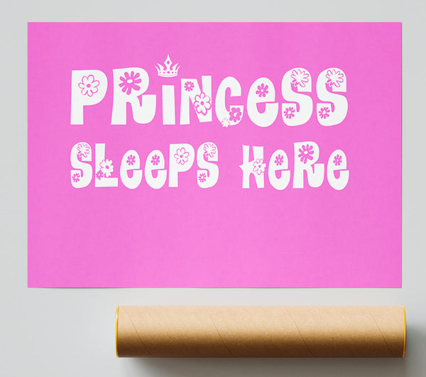 Nursery Quote Princesss Sleeps Here Vivid Pink