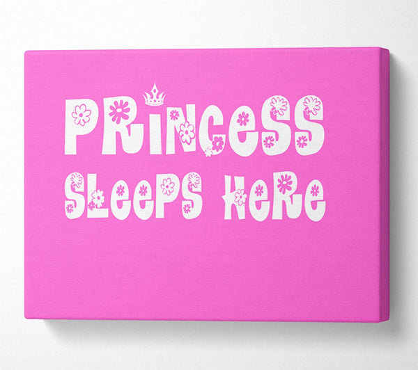 Nursery Quote Princesss Sleeps Here Vivid Pink