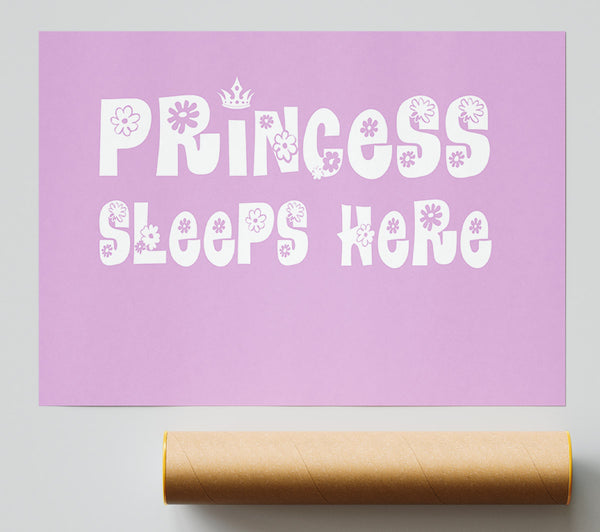 Princesss Sleeps Here Pink