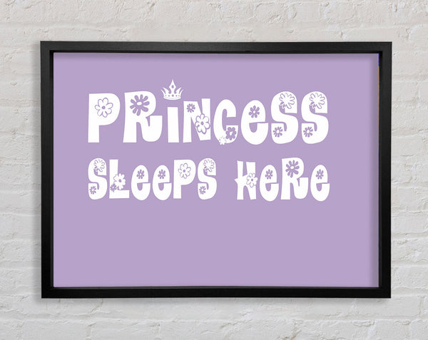 Nursery Quote Princesss Sleeps Here Lilac