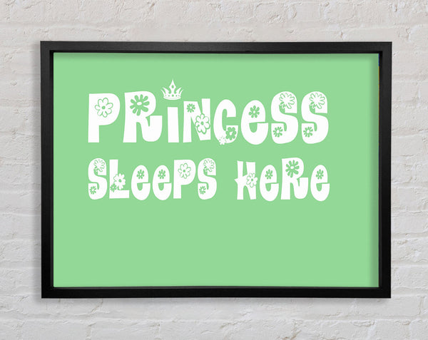 Princesss Sleeps Here Green