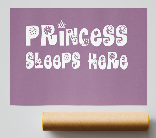 Girls Room Quote Princesss Sleeps Here Dusty Pink