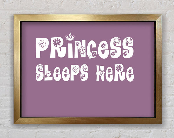 Girls Room Quote Princesss Sleeps Here Dusty Pink