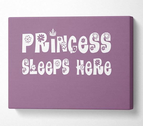 Girls Room Quote Princesss Sleeps Here Dusty Pink