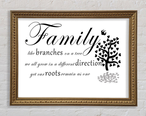 Family Quote Family Like Branches On A Tree White