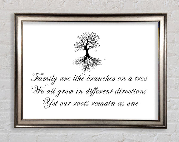 Family Quote Family Are Like Branches White