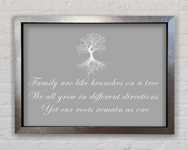 Family Quote Family Are Like Branches Grey White