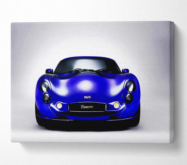 Tvr Tuscan Blue Purple