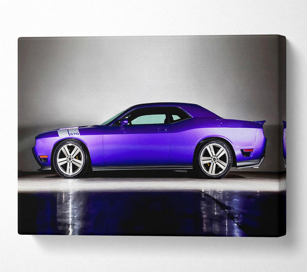 Purple Mustang