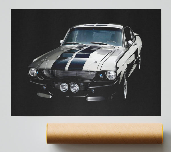 Mustang Stripes