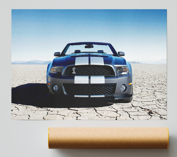 Mustang Shelby Front Profile