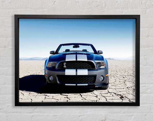 Mustang Shelby Front Profile