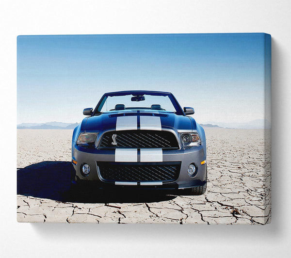 Mustang Shelby Front Profile