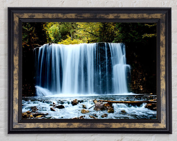 Waterfall Treetops