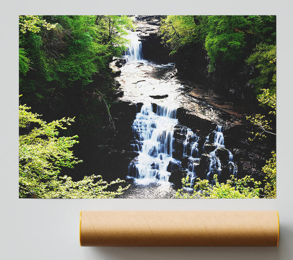 Forest Waterfall Gush