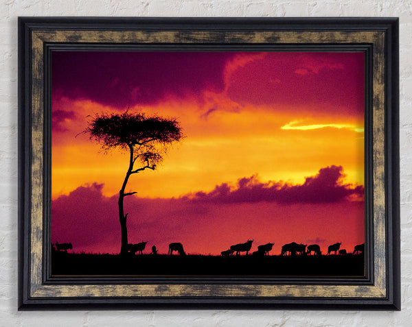 African Safari Sunset