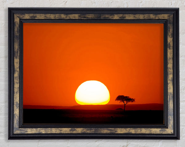 African Sunrise